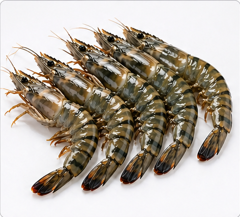 30 Count Prawns